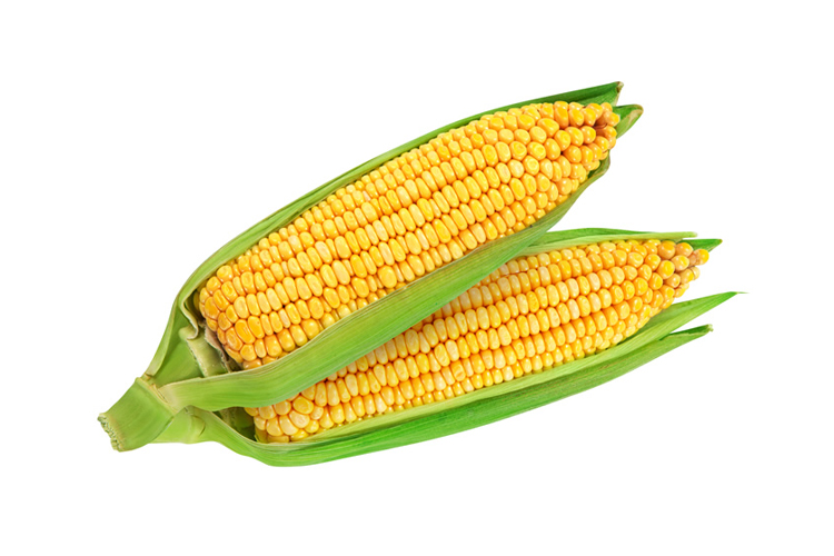 SWEET CORN 2 PCS